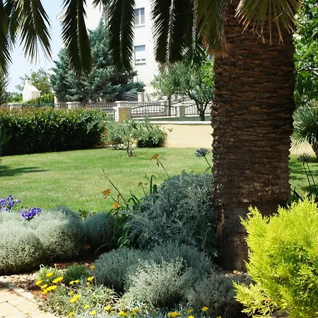 Varga Zadar