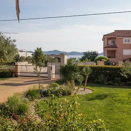 Varga * Ζαντάρ