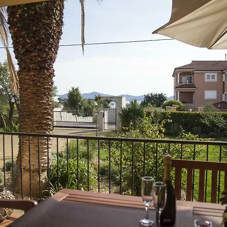 Varga * Ζαντάρ